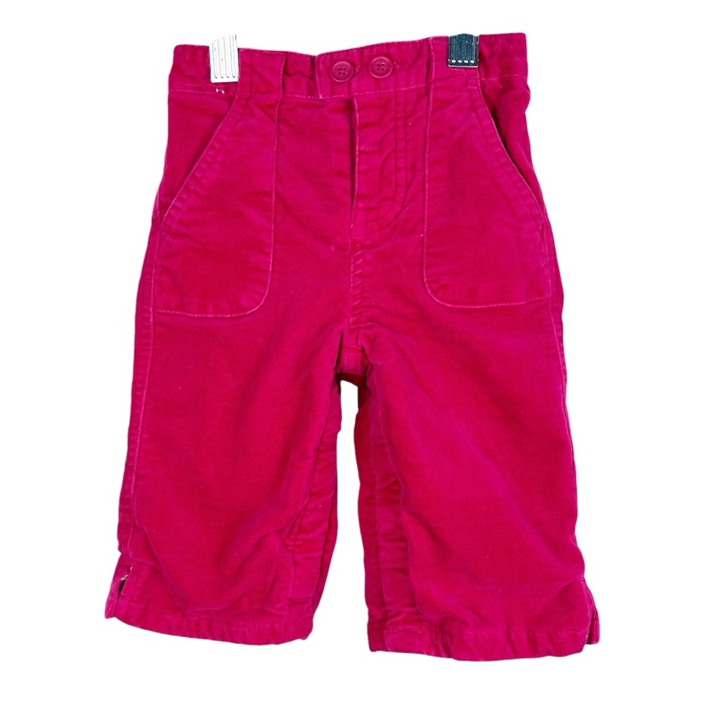 Baby Gap Vintage Velour Pants Floral Lined Size 6-12 Months